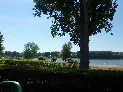 Gutsschnke Rheingau